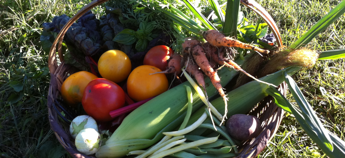 Find out how to save 10% - 25% on a full season's vegetables with the 2025 Farm Card!
