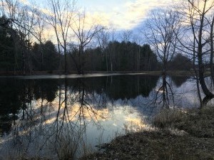 IMG 0244